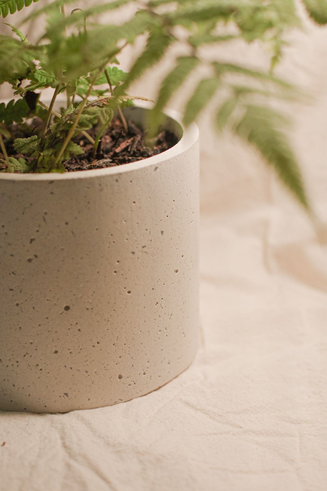 Concrete Pot